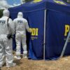 PDI