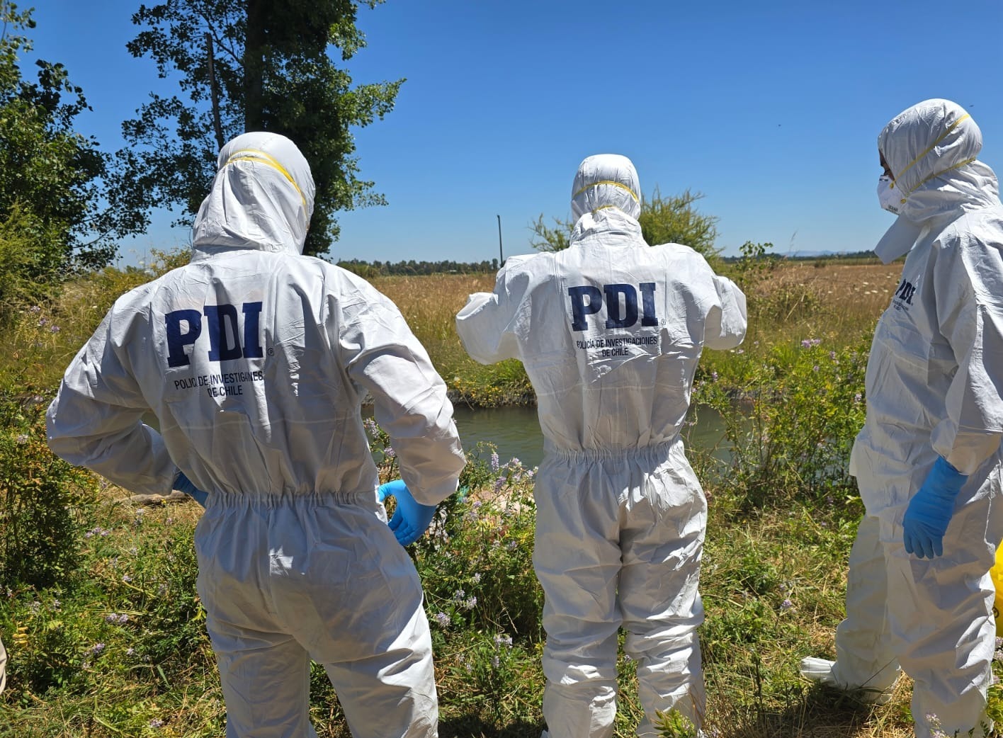 PDI