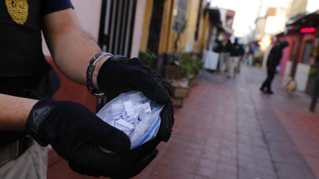 PDI erradica más de mil plantas de cannabis en operativos antidrogas ...